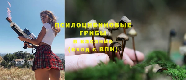 МДПВ Михайловск