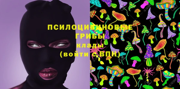 первитин Анива
