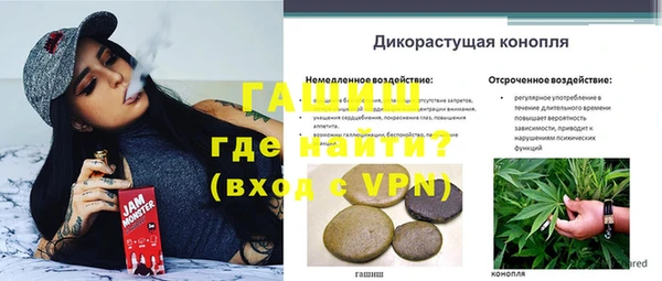 стафф Навашино