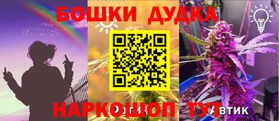 дмт Кандалакша