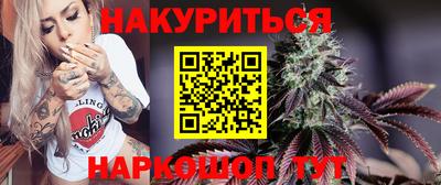 крисы Камышлов