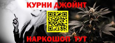 крисы Камышлов