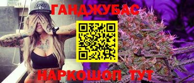 крисы Камышлов