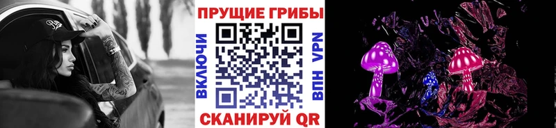 даркнет формула Лениногорск Псилоцибиновые грибы Cubensis