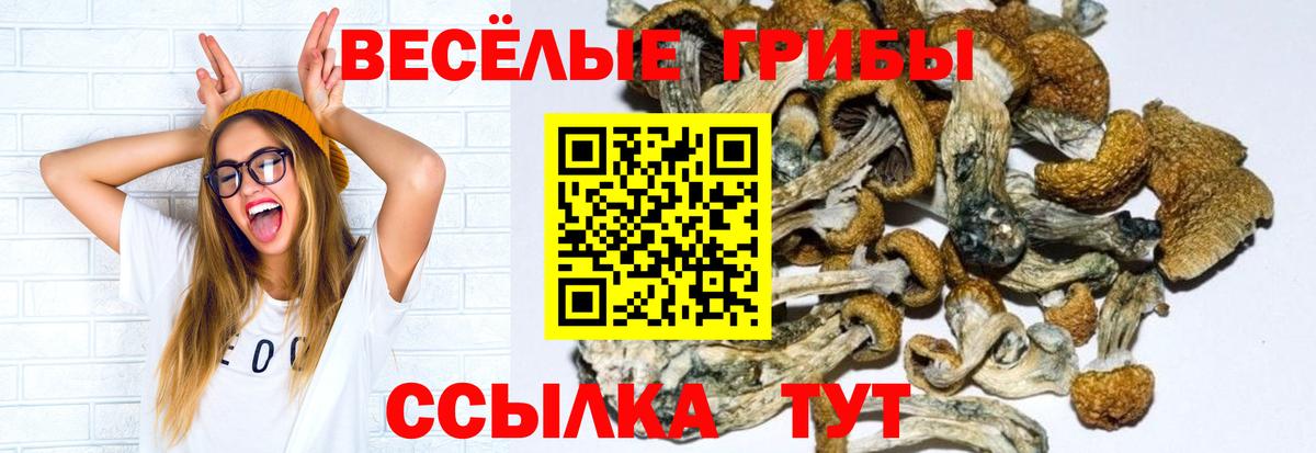 Галлюциногенные грибы GOLDEN TEACHER  Лениногорск 